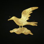 Draw a golden seagull. (1).jpg